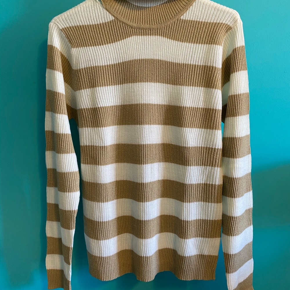 Sparkly striped turtleneck